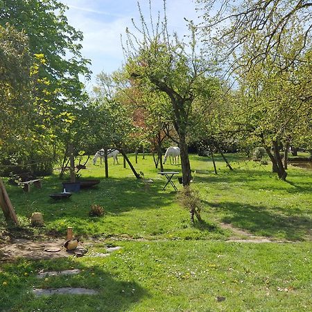 Le Grand Brandonne Villa Loire Dış mekan fotoğraf